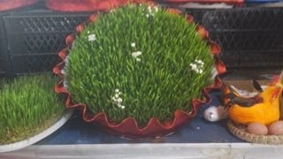 "Bilmirəm, kasıblar necə alış-veriş edəcəklər?" - REPORTAJ "Bilmirəm, kasıblar necə alış-veriş edəcəklər?" - REPORTAJ