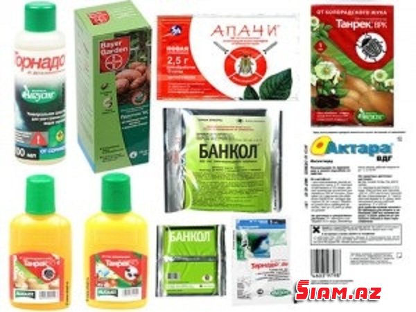 Ziyanvericilər, məmurlar və... milyonlar Ziyanvericilər, məmurlar və... milyonlar