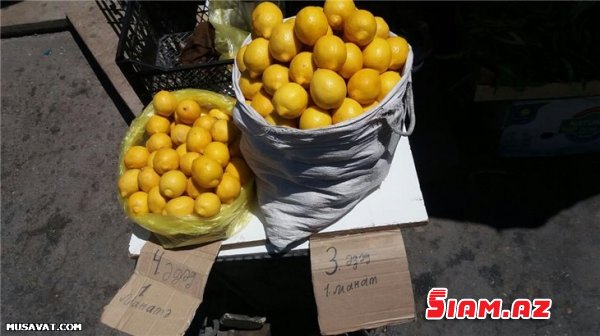 Yayın qızmar günəşi altında çörəkpulu qazananlar: Limon satanlar, dispetçerlər...VİDEOREPORTAJ, FOTOLAR Yayın qızmar günəşi altında çörəkpulu qazananlar: Limon satanlar, dispetçerlər...VİDEOREPORTAJ, FOTOLAR