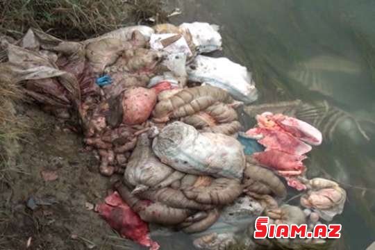 Bərdədə niyə zəlzələ oldu?.. Bərdədə niyə zəlzələ oldu?..