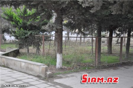 Xaçmazda məmur özbaşınalığı… – FOTOLAR Xaçmazda məmur özbaşınalığı… – FOTOLAR